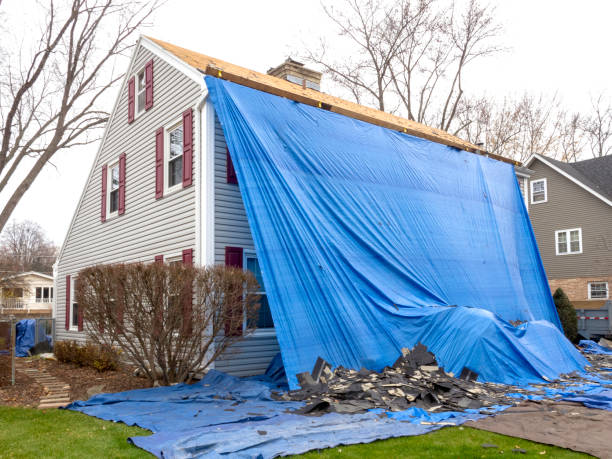 Best Yard Waste Removal  in Fairview Ferndale, PA